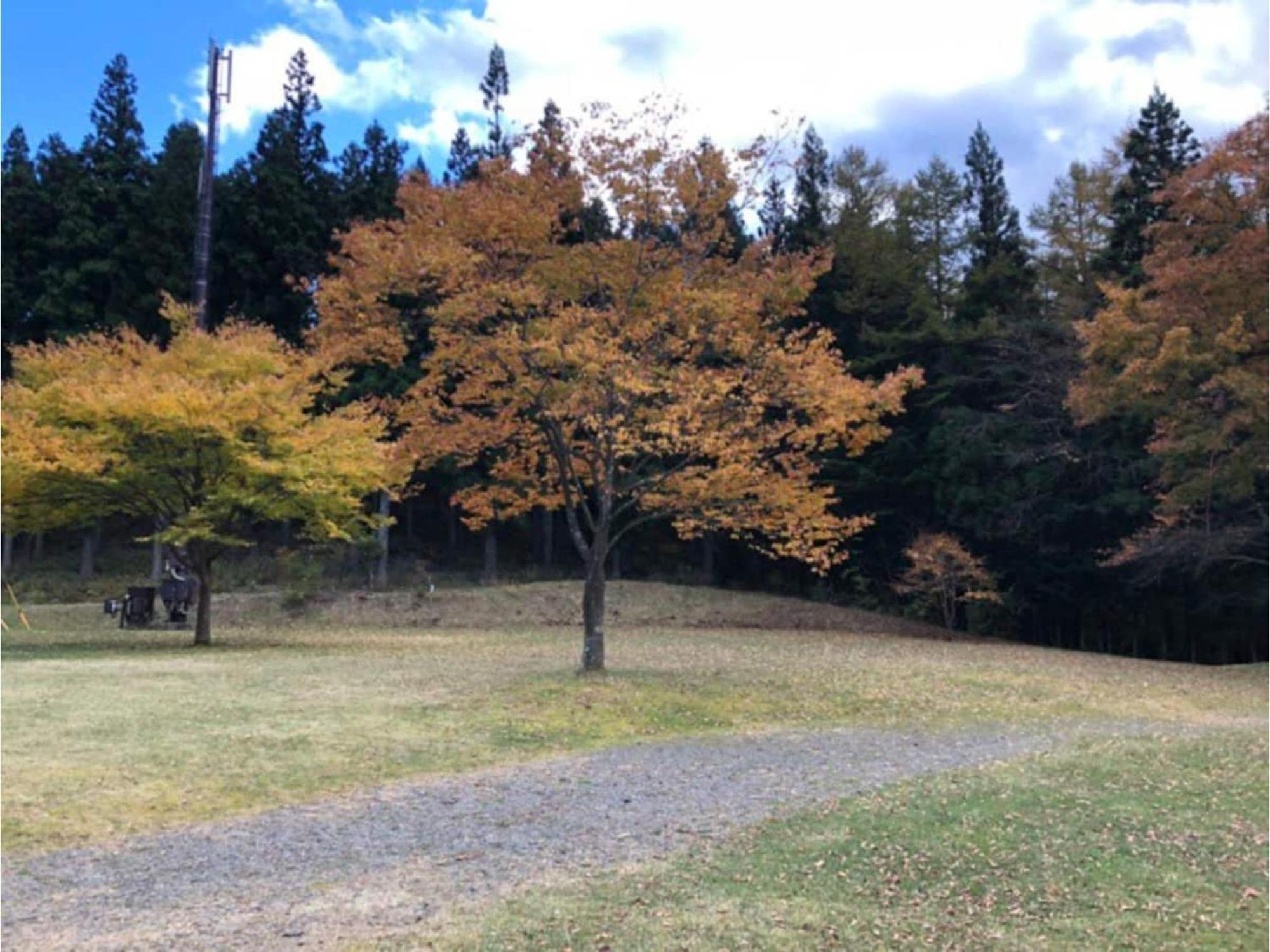 Polar Haus Minamikaruisawa1 - Vacation Stay 88000V Karuizawa Luaran gambar