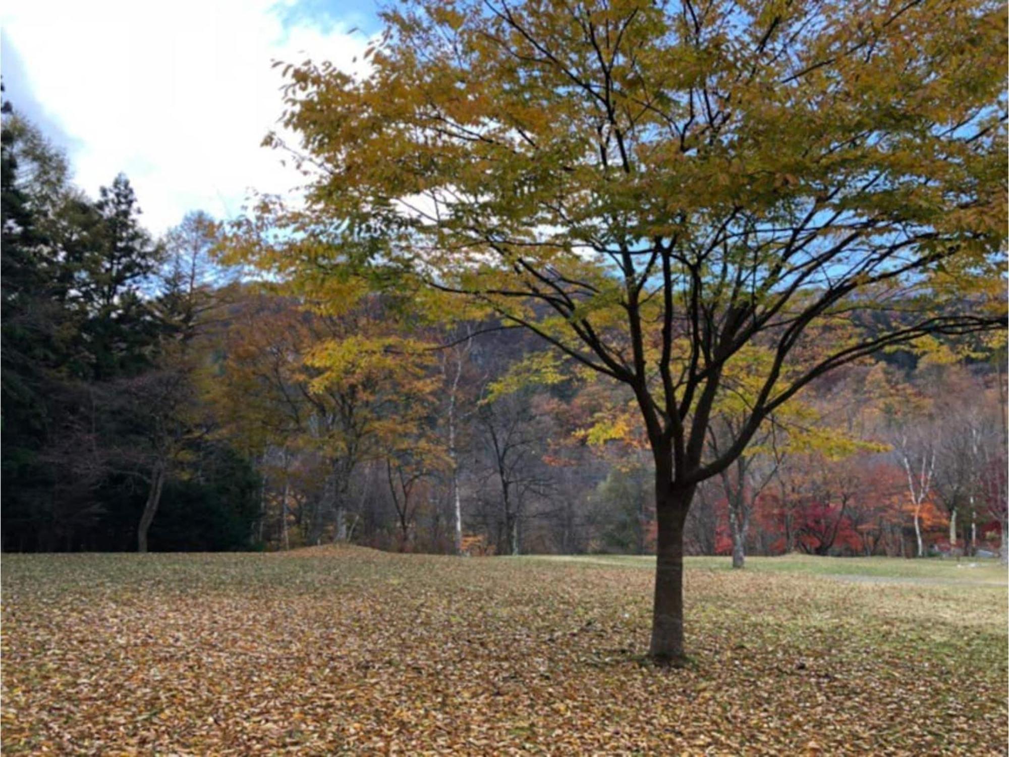 Polar Haus Minamikaruisawa1 - Vacation Stay 88000V Karuizawa Luaran gambar