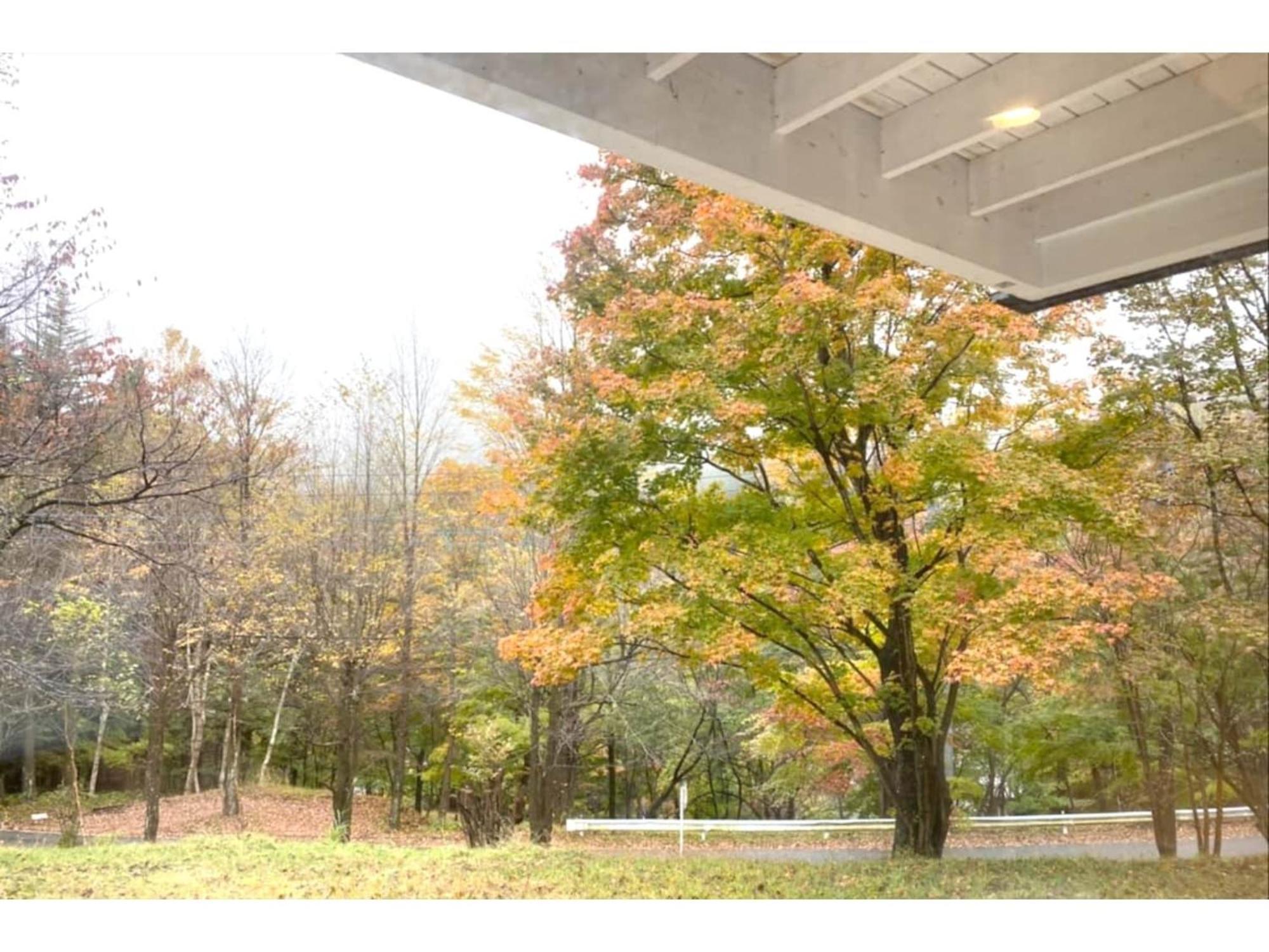 Polar Haus Minamikaruisawa1 - Vacation Stay 88000V Karuizawa Luaran gambar